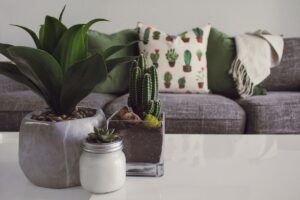 Luftqualität in der Wohnung verbessern: Die besten Tipps